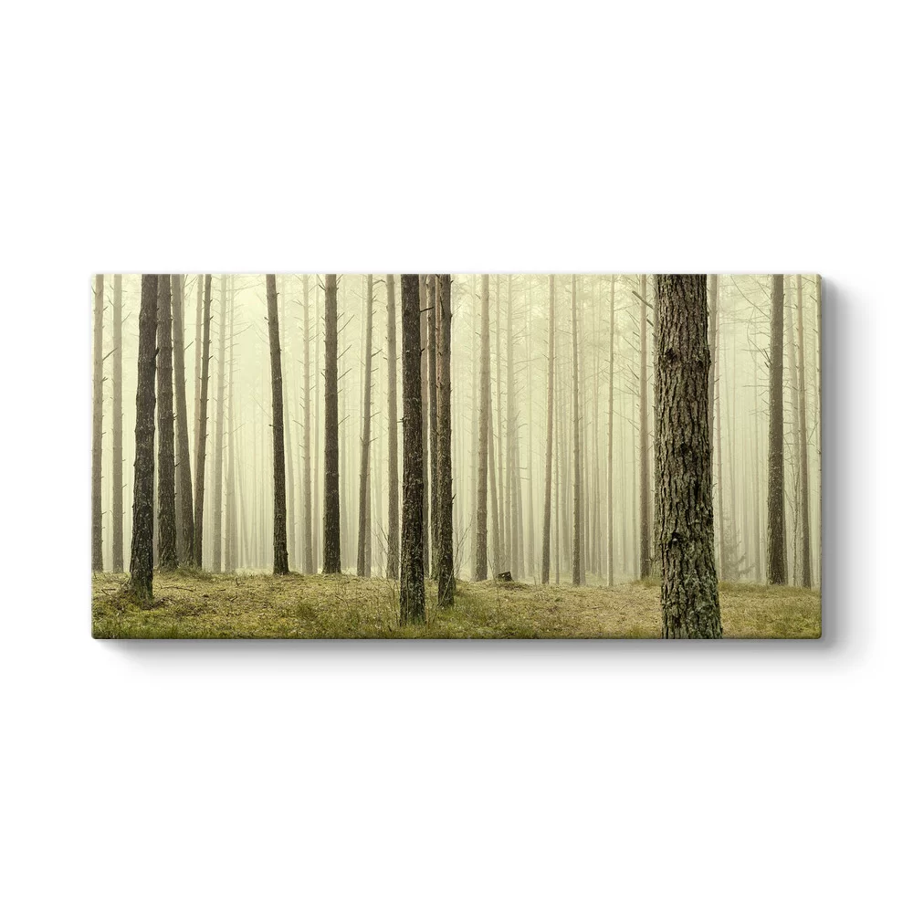 Ağaçlar Panorama Tablo - Model 5